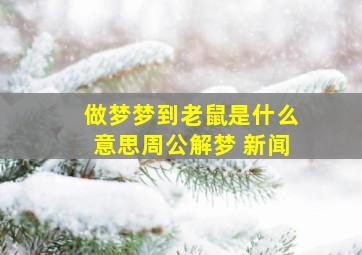 做梦梦到老鼠是什么意思周公解梦 新闻